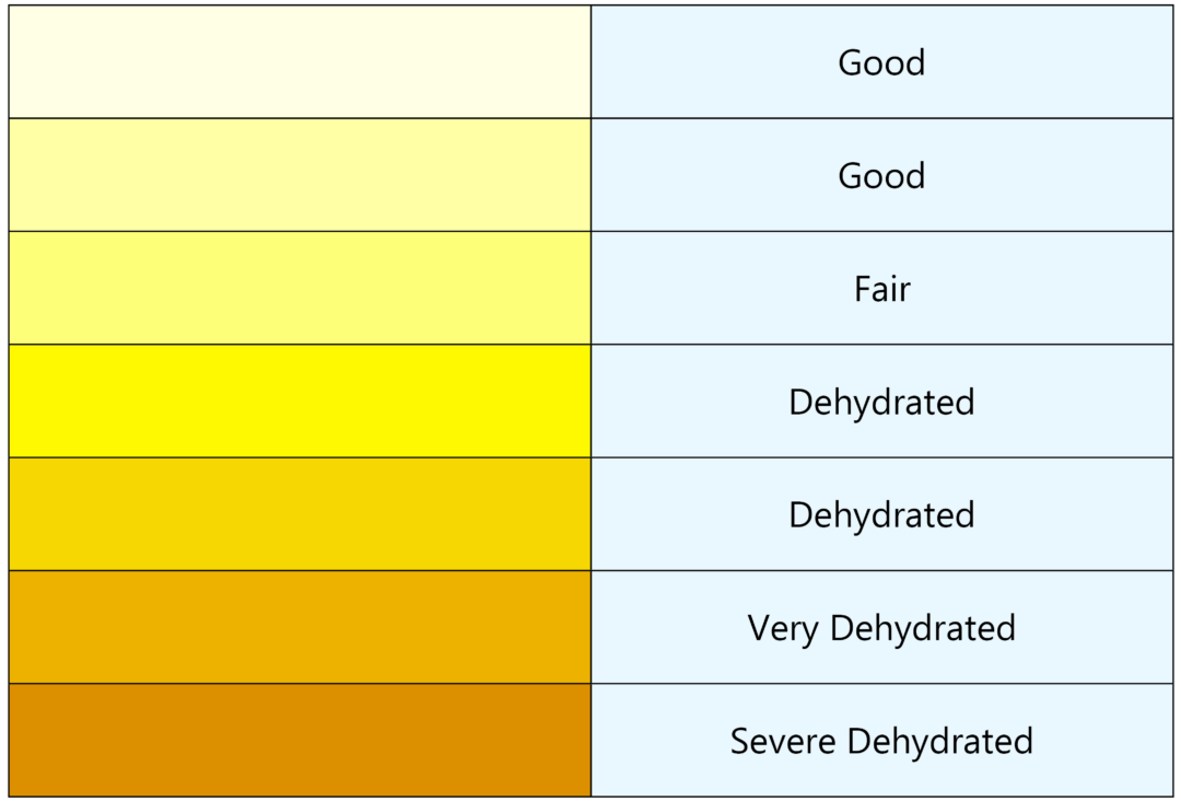 Health & Wellbeing | HCPA