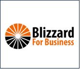 blizzard secondary logo col for hcpa website